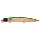 アムズデザイン CT110-118 komomo 110S PボラOB CT110-118(4)