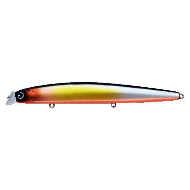 ॺǥ KK170-012 kosuke 170F  KK170-012