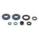 アテナ Engine OilSeals Kit P400250400082