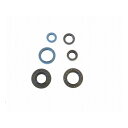 アテナ Engine OilSeals Kit P400090400050