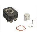 アテナ Cast-iron Cylinder Kit ? 43(pin ? 10) A-061300