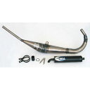 アテナ RACING EXHAUST RS50 P400010120003(2)