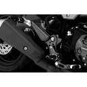正規品／BIKERS タンデムステップ カラー：シルバー H0401-SLV バイカーズ タンデムステップ関連パーツ バイク グロム
