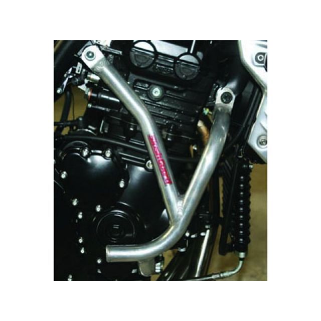 【正規品】ゴールドメダル スラッシュガード サブフレームタイプ SPEED TRIPLE T1050 カラー レッド SGT02-4