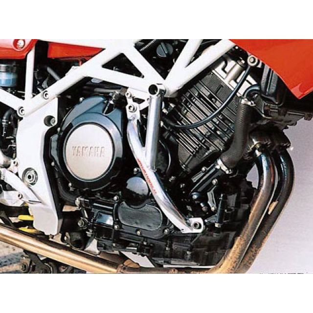 【正規品】ゴールドメダル スラッシュガード TRX850 カラー パープル SGY04-6