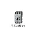 正規品／ESCO AC100-230V/30A/2極 漏電遮断器（フレーム50） EA940MN-13 エスコ 電動工具 バイク 車 自動車 自転車