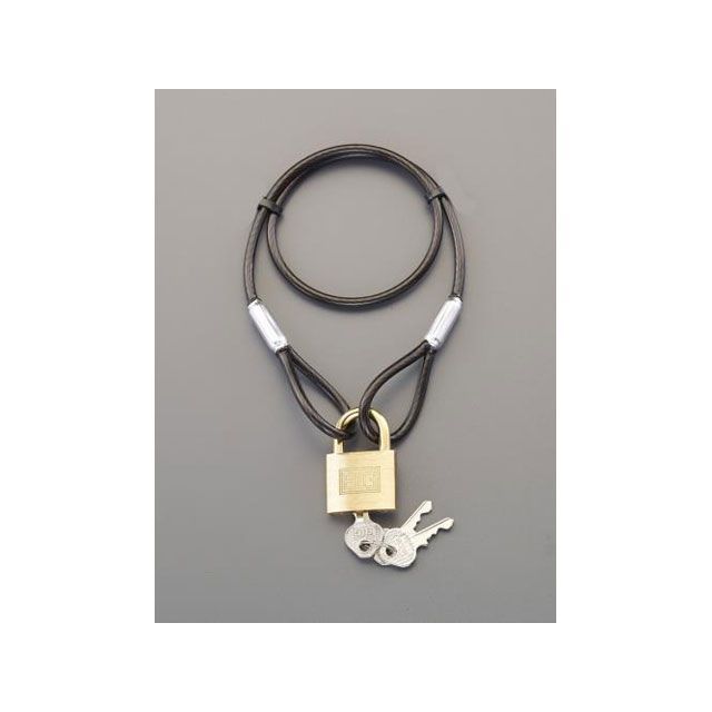 エスコ φ4.3x 540mm ワイヤーロック(シリンダー錠) EA983TT-41