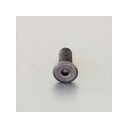 エスコ M12x16mm 六角穴付ボルト(超低頭/クロメート/2本) EA949MW-1216(4)