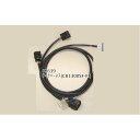 ASウオタニ アンプハーネス(CB1300SF-FI) ・02639