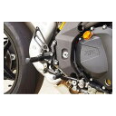 ベビーフェイス バックステップキット タイプ2(ノーマル) F4 カラー ゴールド 002-M007GD(2)