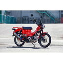 WirusWin ウイルズウィン アニバーサリーマフラー ポッパータイプ シグナスX YAMAHA ヤマハ ボルトキャップカラー：シルバー / ビレットステーカラー：シルバー / サイレンサーカラー：ブラックカーボン