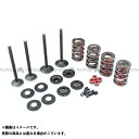 キブルホワイト エンジンキット 86-03y スポーツスター883 883ccスポーツスター ・023617
