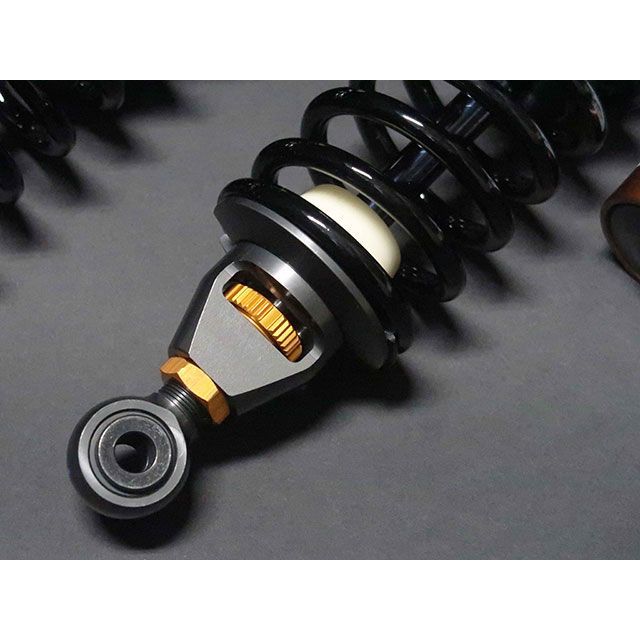 ���ɥХ�ơ������硼�� RS��䡼�����ڥ󥷥��ʺ��Ф����˥���륢���㥹������ CB 1100 EX 621-H024-RSB