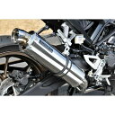 正規品／BEAMS R-EVO フルエキ ステンレスサイレンサー 政府認証 G1005-53-S6J ビームス マフラー本体 バイク CB125R