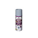 アサヒペン 強力サビドメスプレー 300ML(グレー)