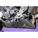 才谷屋ファクトリー アンダーカウル/社外マフラー用 XSR900 仕様 黒ゲル EY2X9UC-B