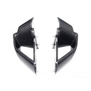 ワンダーリッヒ カーボンウイングレット 左右セット M1000RR S1000RR W20218-000