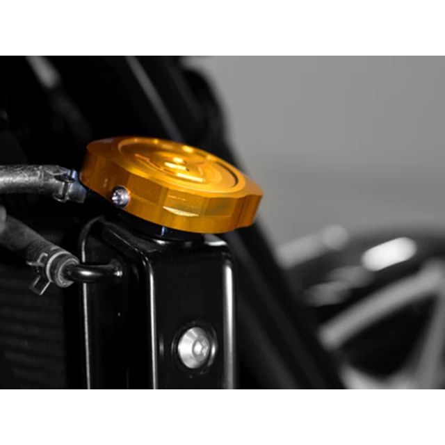 エヴァテック ラジエターキャップカバー Z900RS 20〜（ゴールド） Z900RS EVT-5414-GD