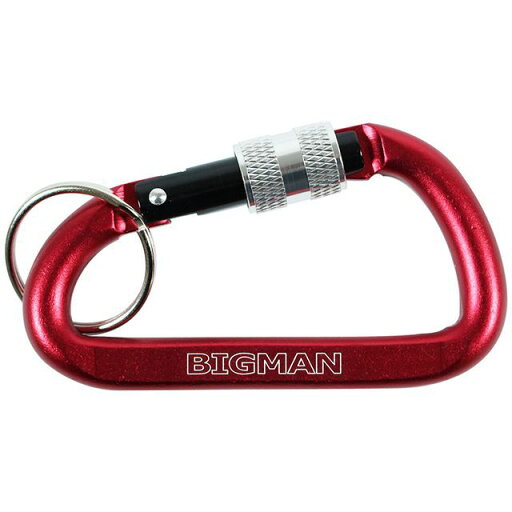 BIGMAN CARABINER AFC1L-8R(レッド) AFC1L-8R BIGMAN CARABINER AFC1L-8R(レッド) AFC1L-8R