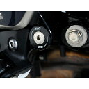 アールアンドジー リアフットプレート 左側(ブラック) Speed400/Scrambler400X RG-BLP0146BK