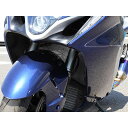 アールズギア ラジエター・オイルクーラーガードセット(ラージロゴ/シルバー) Hayabusa AC00-049S-LS
