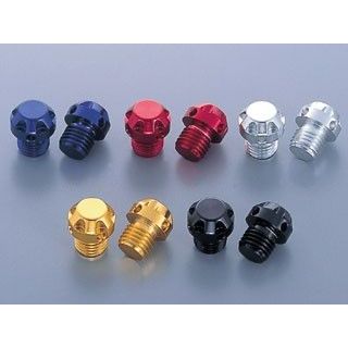 ポッシュフェイス NASA Typeミラーホールカバーキャップ M10・正ネジ 汎用 カラー メッキ ・000808