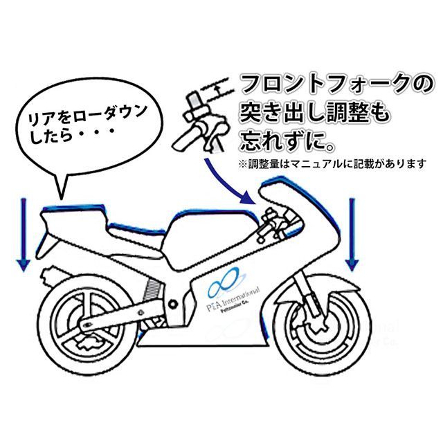 パイツマイヤー ローダウンキット 45mm F450GS M550-018-45