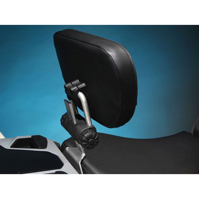 ����������� �Хå��쥹�� BR-2107-20