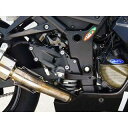 正規品／BABYFACE セットバックプレート（ブラック） 002-BK001BK ベビーフェイス バックステップ関連パーツ バイク ニンジャ250R