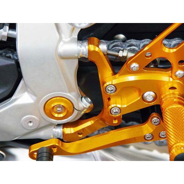 ベビーフェイス カラーセット（シルバー） 1199 PANIGALE 002-D020SV