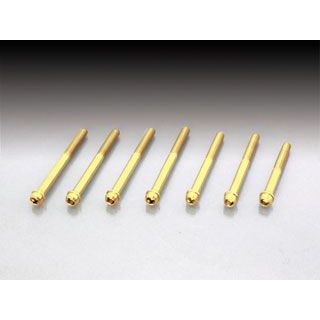 キタコ 24Kビビッドボルトセット クランクケース用 060-1123320