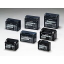 GSユアサ VRLA(制御弁式バッテリー) 12V メンテナンスフリー GT9B-4(液入り充電済) 汎用 GT9B-4-GY-C-ZZ1