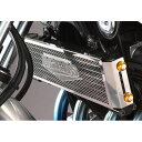 アグラス オイルクーラーコアガード XJR1300 タイプ Bタイプ(AGRASロゴ無し) 310-251-B00