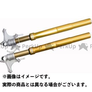 オーリンズ FGRT200シリーズフロントフォーク Type FG R＆T NIX GSX-R1000 FGRT205