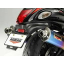 アグラス フェンダーレスキット GSX1300Rハヤブサ 605-391-000
