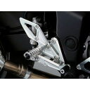 正規品／AGRAS バックステップ 正チェンジ仕様 312-399-000 アグラス バックステップ関連パーツ バイク GSR750