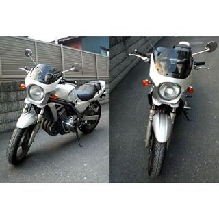 ワールドウォーク 汎用ビキニカウル DS-01 typeR（パールメテオグレー） バリオス2 ds-01r-8