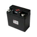 正規品／SHORAI Battery SHORAIバッテリー LFX36L3-BS12 ケース型番3 LFX36L3BS12 ショーライ バッテリー関連パーツ バイク