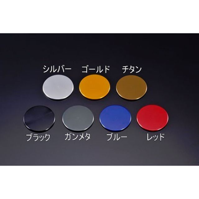 アグラス チェーンガードFRP＆スタンドプレート YZF-R6 カラー ガンメタ 353-278-0...