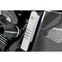 アグラス ラジエターサイドカバー Z900RS カラー ブラック 309-400-000BK