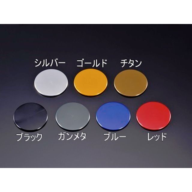 アグラス ラジエターサイドカバー Z900RS カラー レッド 309-400-000R