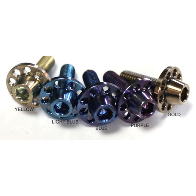 チタニウム64 ナンバープレートボルトTYPE-S 汎用 カラー 陽極酸化 チタニウムブルー 64NPSC