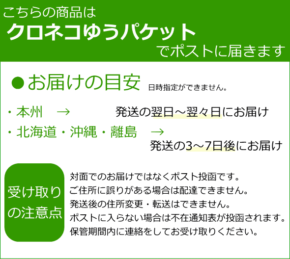 カルバンクライン プレゼント用バッグ