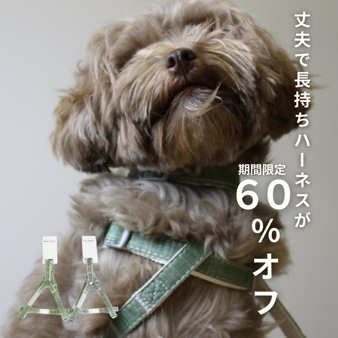 【期間限定70%オフ/まとめて送料無