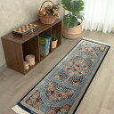 【本場イラン産】49×165cm ペルシャ絨毯 長細いライナーサイズ(送料無料 手織り 天然染料 かわいい おしゃれ 絨毯 ラグ ウール100% ペルシャ マッ...