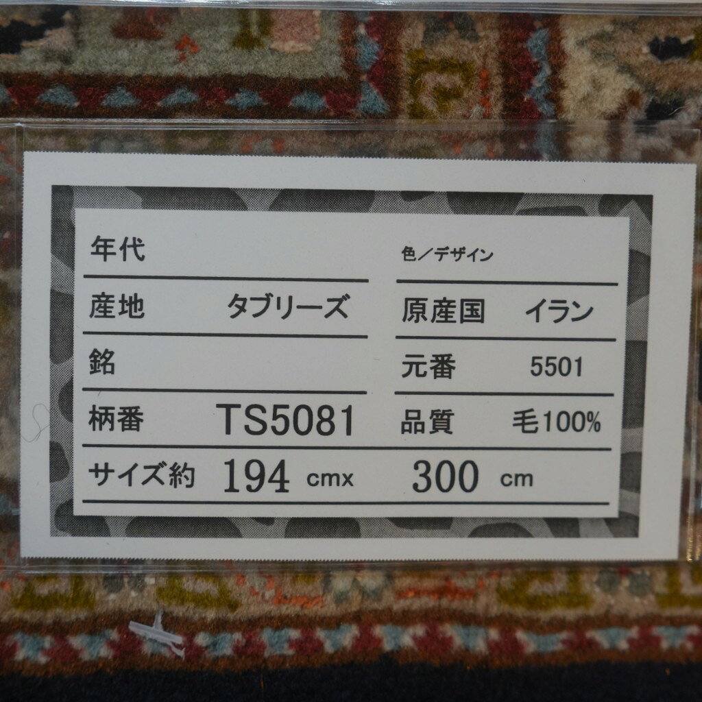 【ペルシャ絨毯 300cmx194cm 手織り タブリーズ産】直輸入 ブラック TS5081 persian-carpet-10000023 ペルシャ絨毯ギャラリーGanzy サンプル画像3