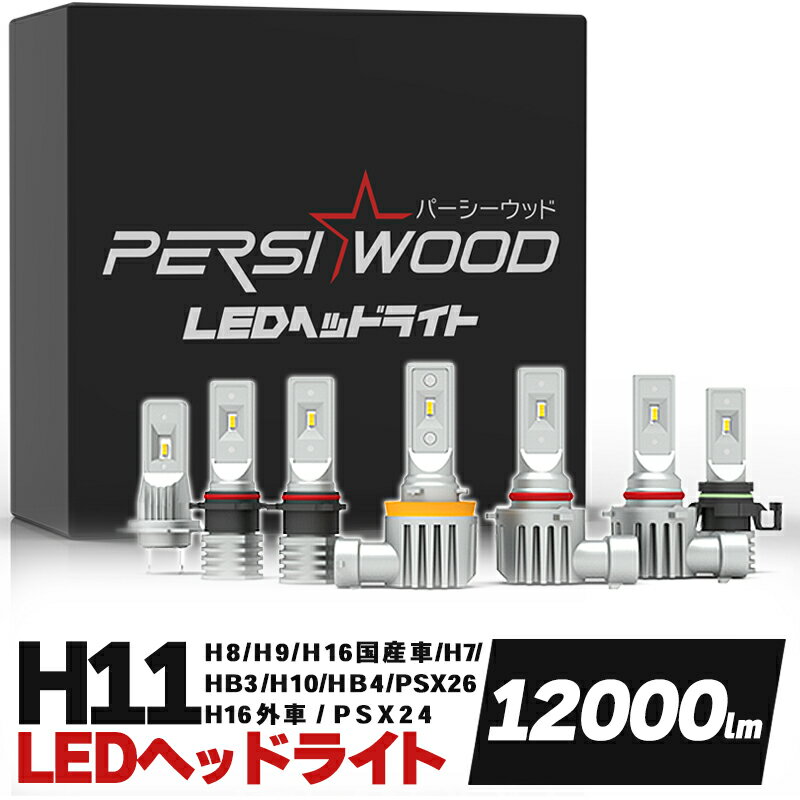 H11 LED ヘッドライト ハイビーム ロ