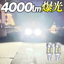 T16 LED バックランプ 爆光 4000ルーメ