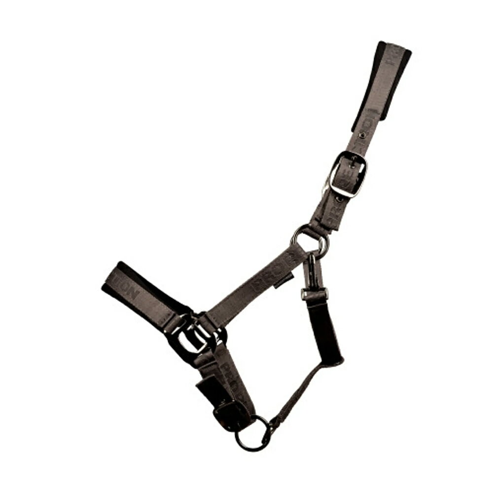 (�ϥ�) Hy ���� ProReaction �إåɥ��顼 �ȥ�󥹥ե����� ���� �϶� �ۡ����饤�ǥ��� �ڳ������Ρ�