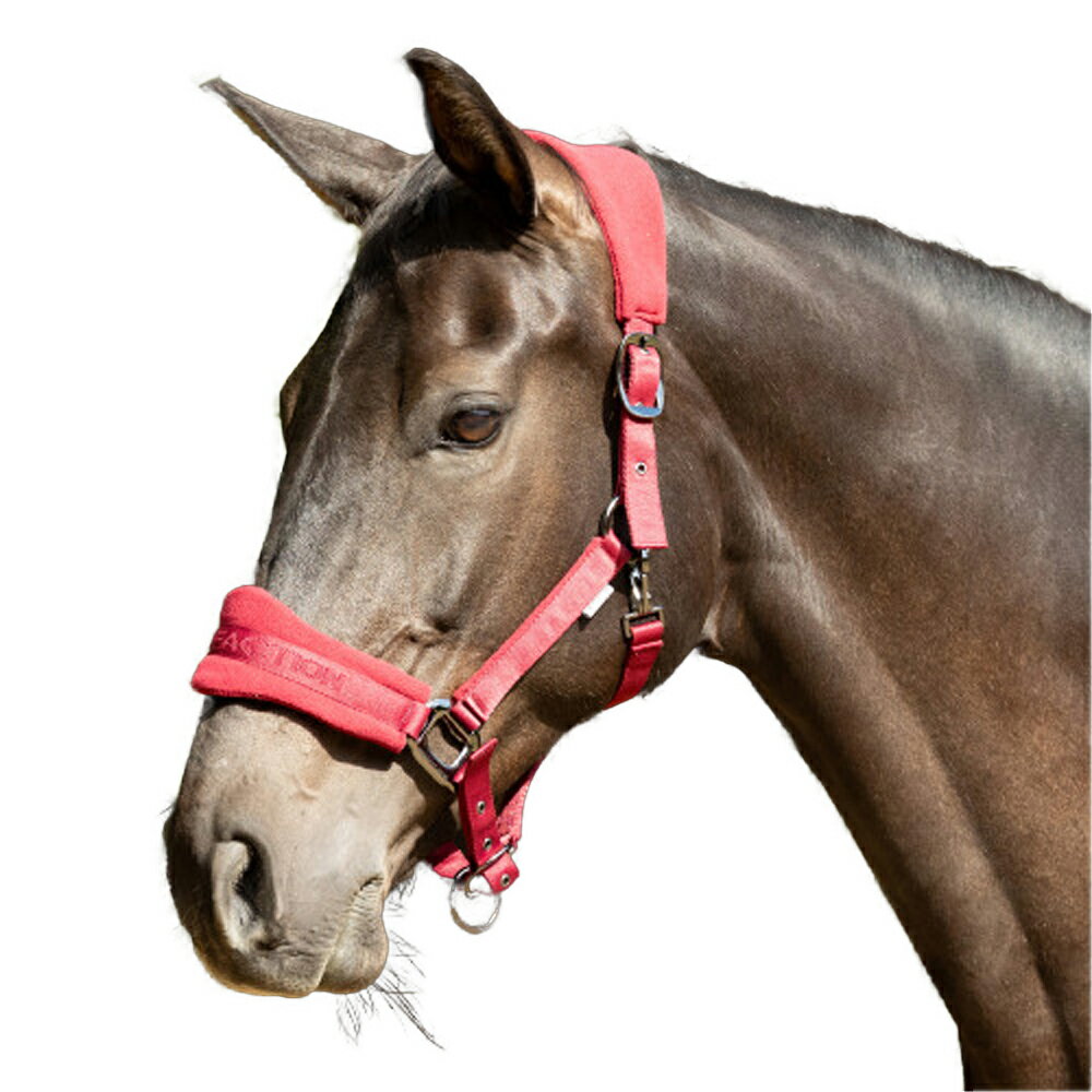 (�ϥ�) Hy ���� ProReaction �إåɥ��顼 ���� �϶� �ۡ����饤�ǥ��� �ڳ������Ρ�